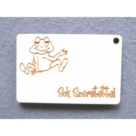 Ajándékkísérő